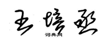 朱锡荣王培丞草书个性签名怎么写