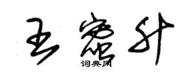 朱锡荣王蜜升草书个性签名怎么写