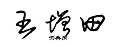 朱锡荣王增田草书个性签名怎么写