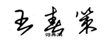朱锡荣王春策草书个性签名怎么写