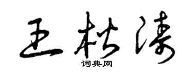 曾庆福王楷涛草书个性签名怎么写