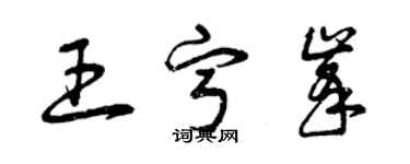 曾庆福王宁峰草书个性签名怎么写