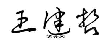 曾庆福王健哲草书个性签名怎么写