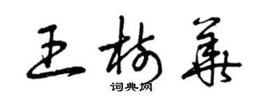 曾庆福王树华草书个性签名怎么写