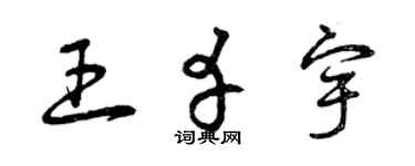 曾庆福王幸宇草书个性签名怎么写