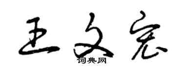 曾庆福王文宏草书个性签名怎么写