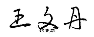 曾庆福王文丹草书个性签名怎么写