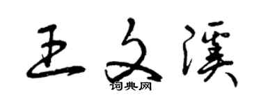 曾庆福王文溪草书个性签名怎么写