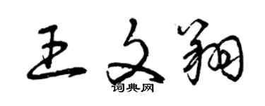 曾庆福王文翔草书个性签名怎么写