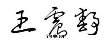 曾庆福王震静草书个性签名怎么写