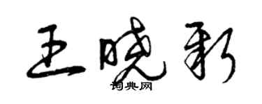 曾庆福王晓新草书个性签名怎么写