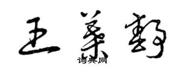 曾庆福王叶静草书个性签名怎么写