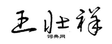 曾庆福王壮祥草书个性签名怎么写