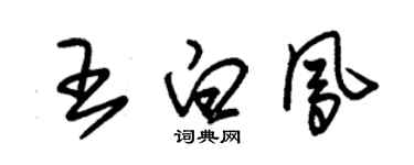 朱锡荣王白凤草书个性签名怎么写