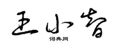 曾庆福王小智草书个性签名怎么写