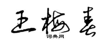 曾庆福王梅春草书个性签名怎么写