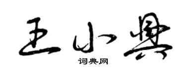 曾庆福王小兴草书个性签名怎么写