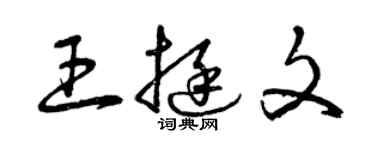 曾庆福王挺文草书个性签名怎么写