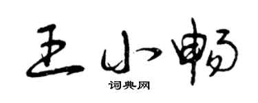 曾庆福王小畅草书个性签名怎么写