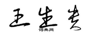 曾庆福王生贵草书个性签名怎么写