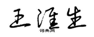 曾庆福王淮生草书个性签名怎么写