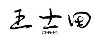 曾庆福王士田草书个性签名怎么写