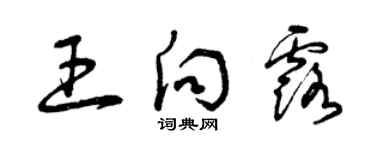 曾庆福王向露草书个性签名怎么写