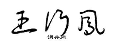 曾庆福王行凤草书个性签名怎么写