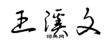 曾庆福王溪文草书个性签名怎么写