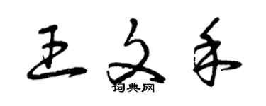 曾庆福王文禾草书个性签名怎么写