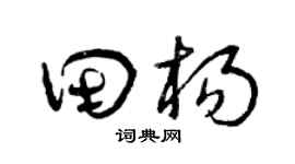 曾庆福田杨草书个性签名怎么写