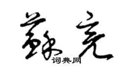 曾庆福苏亮草书个性签名怎么写