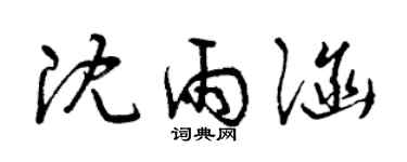 曾庆福沈雨涵草书个性签名怎么写