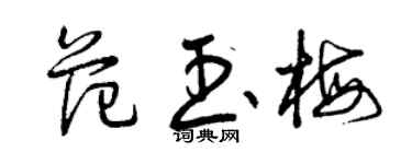曾庆福范玉梅草书个性签名怎么写