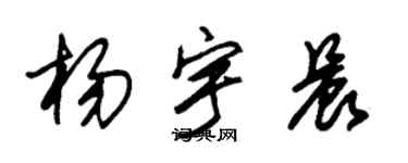 朱锡荣杨宇晨草书个性签名怎么写