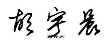朱锡荣胡宇晨草书个性签名怎么写