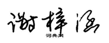 朱锡荣谢梓涵草书个性签名怎么写