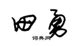 朱锡荣田勇草书个性签名怎么写