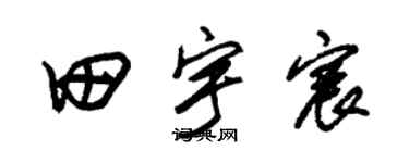 朱锡荣田宇宸草书个性签名怎么写