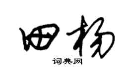 朱锡荣田杨草书个性签名怎么写