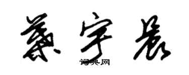 朱锡荣叶宇晨草书个性签名怎么写