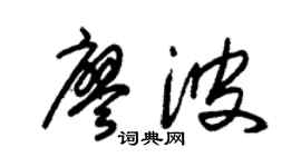 朱锡荣廖波草书个性签名怎么写