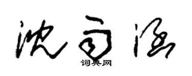 朱锡荣沈雨涵草书个性签名怎么写