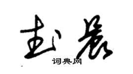 朱锡荣武晨草书个性签名怎么写
