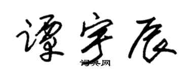 朱锡荣谭宇辰草书个性签名怎么写