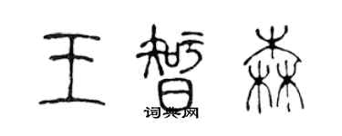 陈声远王智森篆书个性签名怎么写
