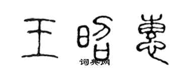 陈声远王昭惠篆书个性签名怎么写