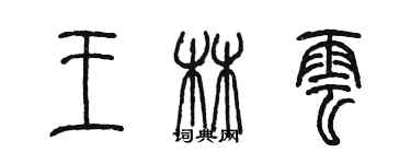 陈墨王林云篆书个性签名怎么写