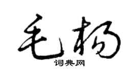 曾庆福毛杨草书个性签名怎么写