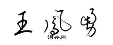 梁锦英王凤勇草书个性签名怎么写